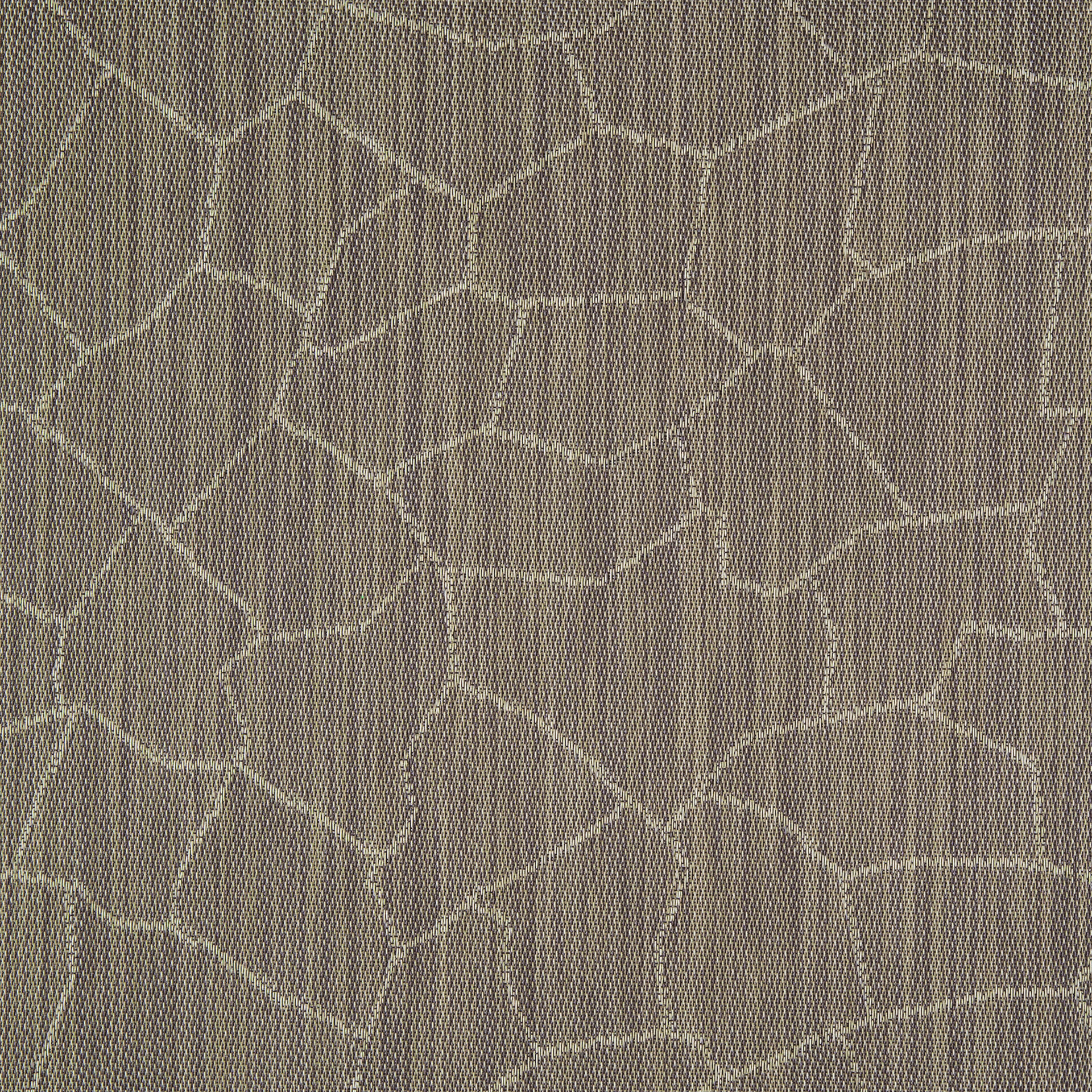 Cracked Earth Arid - topview