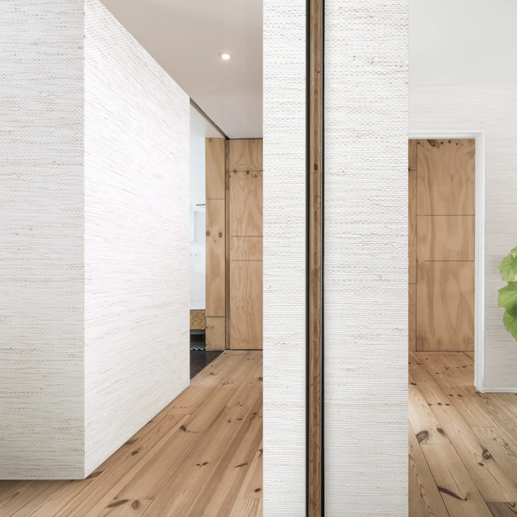 Shades of Pale SOP1031