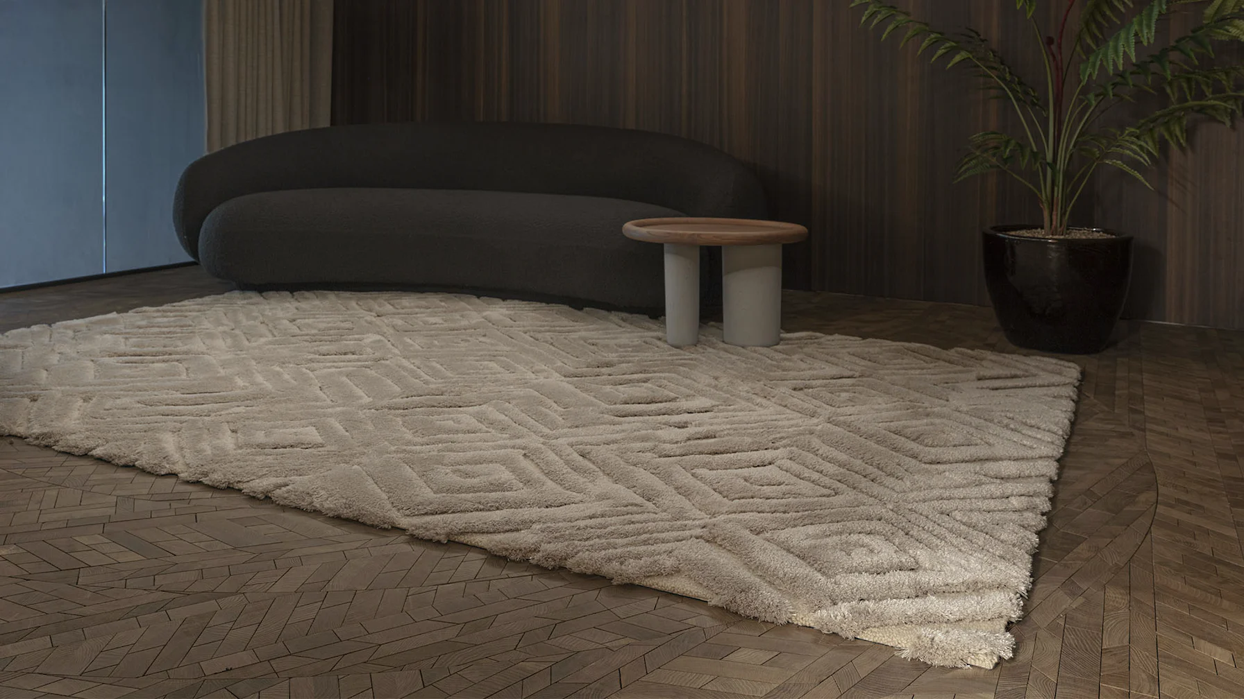 Cosmic Gala Macadamia