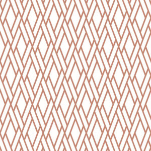 Lines and Geometrics continuous weave coral