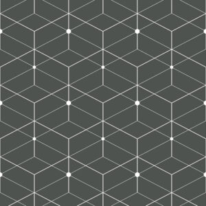 Lines and Geometrics dreamweb onyx