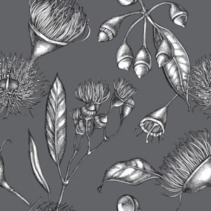 Botanicals gumnuts monochrome