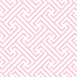 Lines and Geometrics locked in place flamingo