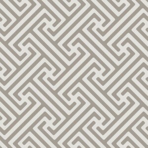 Lines and Geometrics locked in place taupe